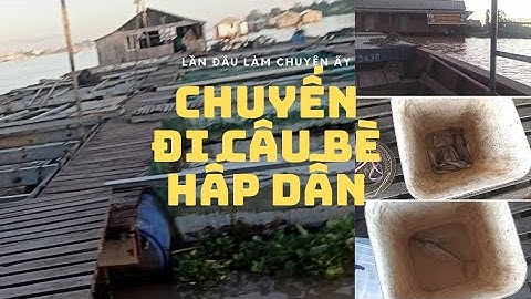 Đi Câu Bè Bảy Bon Cần Thơ - Anh Duy  Fishing Vlog