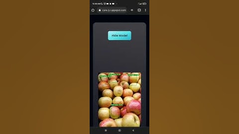YOLOv7 Object Detection Demo from Cloris Health Care project