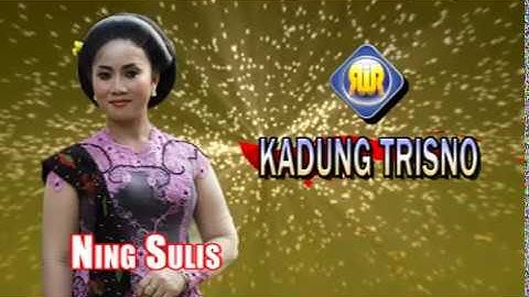Kadung Tresno - Ning Sulis | Dangdut (Official Music Video)