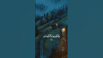 تلاوة فريده من محمود علي البنا