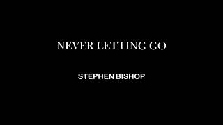 NEVER LETTING GO - STEPHEN BISHOP (KARAOKE)