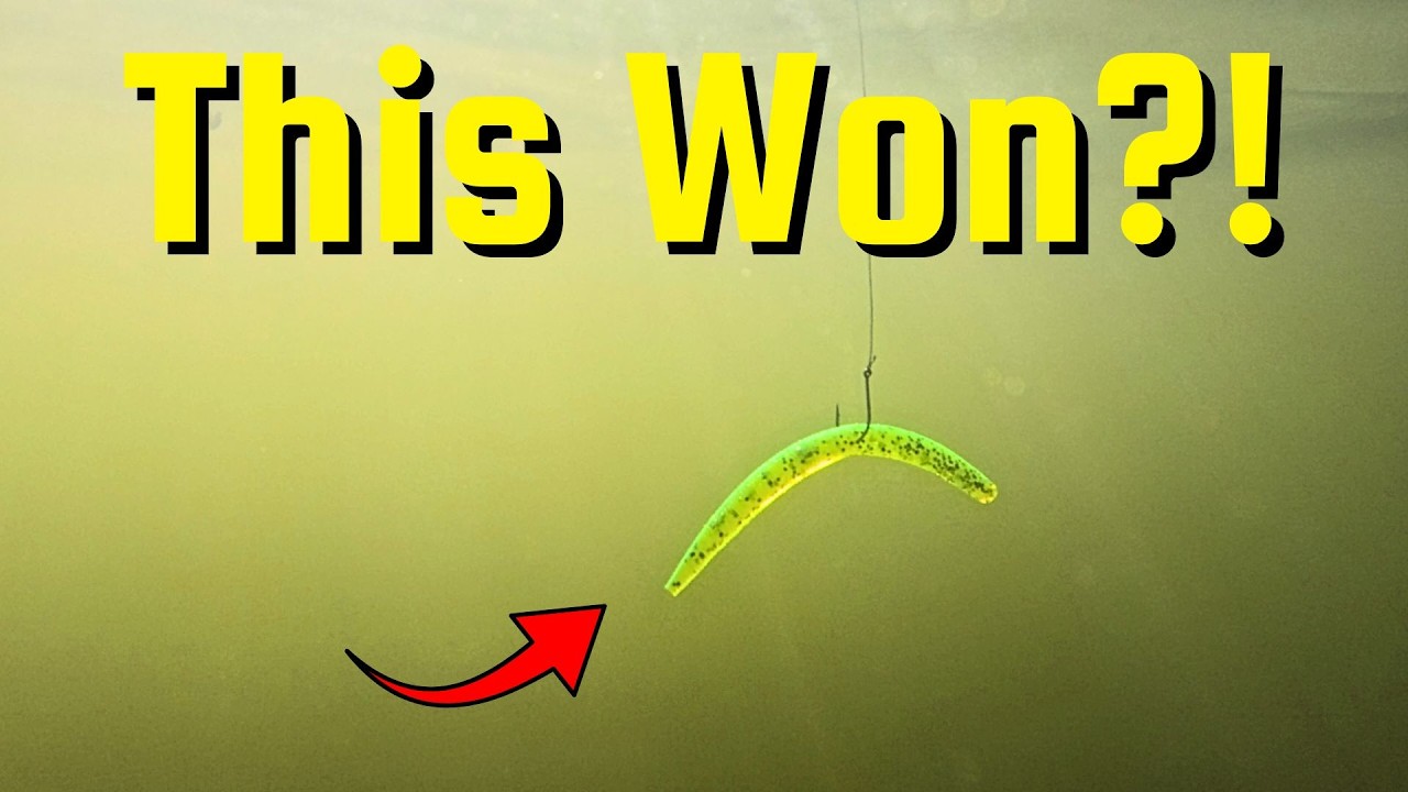Does Wacky Worm Color REALLY Matter? (15 Bait Color Challenge for Bass Fishing)