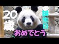 アドベンチャーワールド　良浜　２０歳　誕生日おめでとう　２０００年９月６日生まれ