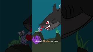 This Sea Creature Can Break Glass With One Punch #mantisshrimp #wildlife #shorts