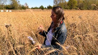 Lisa Schulte Moore in prairie grass