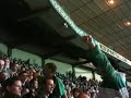 Green Brigade Junior Capo