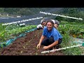 LIVING AND WORKING ON AN ORGANIC FARM IN ITALY (WWOOF)