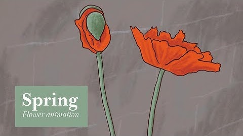 Spring / Blooming flowers animation