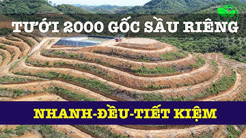 BÉC TƯỚI VP10V2 BÙ ÁP – PHUN NƯƠC ĐỀU CỰC HIỆU QUẢ CHO 2000 GỐC SẦU RIÊNG TẠI LÂM ĐỒNG | VNPLANT