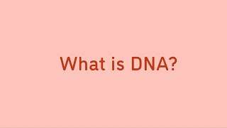 What is DNA? | Animation | Minute to Understanding