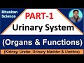 PART 1: Urinary System | Introduction| Components & Their Functions | B. Pharm, GPAT