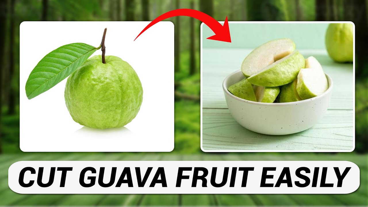 How to Cut Guava Fruit - YouTube