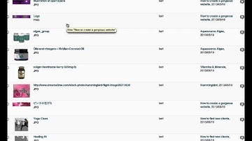 Wordpress: admin panel orientation video