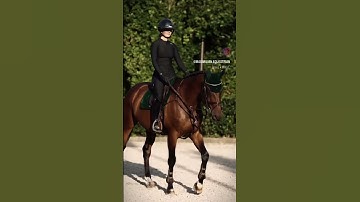 I was too lazy to do overlays💔|ib:me!| #horse #edit #fypシ゚viral 