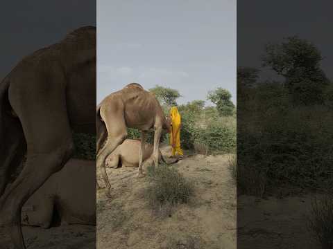 ٱل م ر أ ة ٱل ق ر و ي ة و ع اد ات ٱل ج م ال ف ي ف ص ل ٱلش ت اء