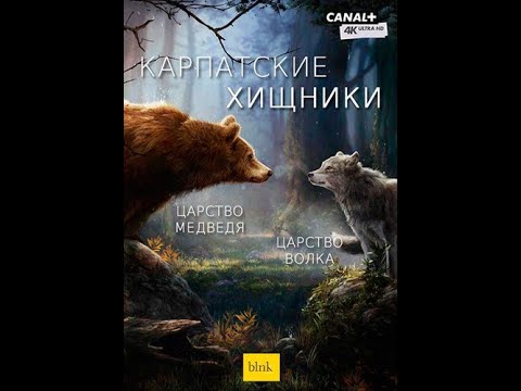 Карпатские хищники / Carpathian Predators 4K, серии 1 Царство медведя