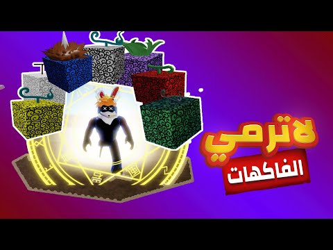 فيديو: ما كان يُحفظ في الصناديق