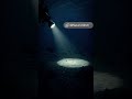 The Ocean Zone Where Nothing Can Breathe ☠️ #Shorts