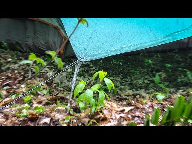 How to Setup a Tarp for a Storm