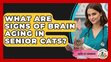 What Are Signs Of Brain Aging In Senior Cats? - Happy Cat Handbook