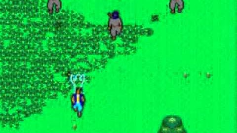 Ninja, The (Sega Master System)