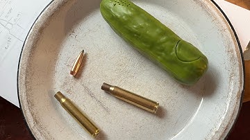 Reloading w/ IMR 7383 - 30-06