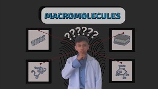 Case 1 Macromolecules