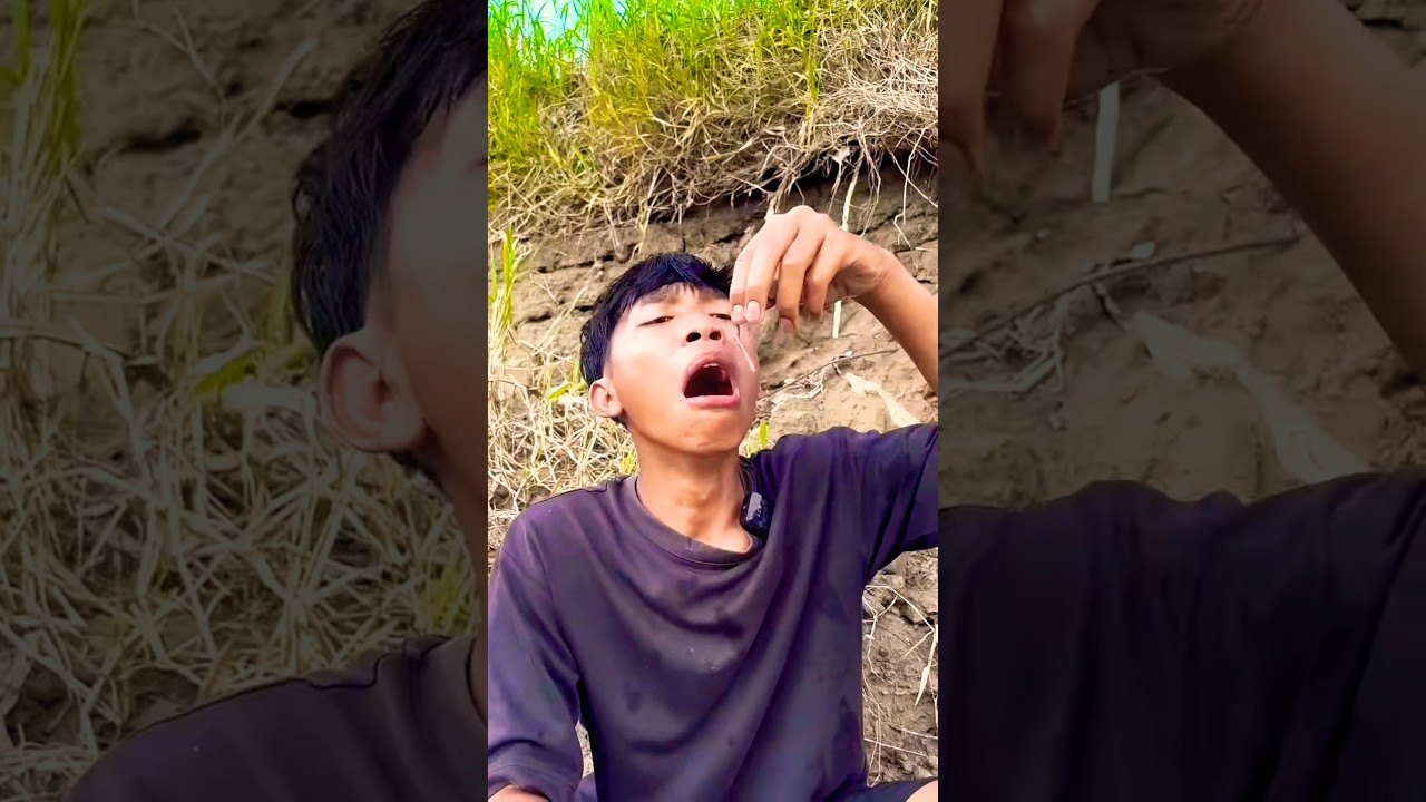 Survival skill: water purification in the wild