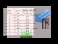 Organizing Data: Understanding Variables and Graphing Techniques
