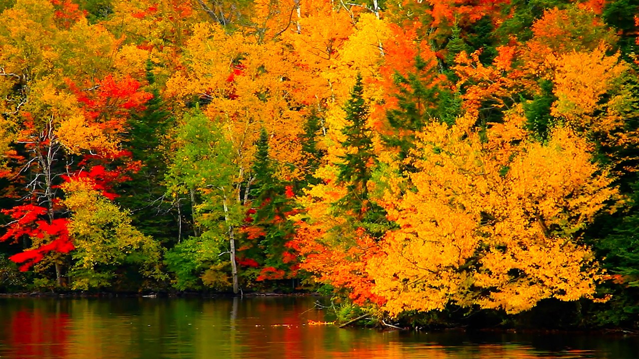 "September Autumn Peaceful Evening" Beautiful Relaxing Music, Peaceful Soothing Music by Tim Janis