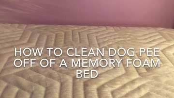 How Clean Urine From A Memory Foam Mattress