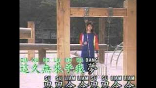 Hokkian Song - 為何你愛著別人 Wie Ho Li Ai Dio Pa Lang