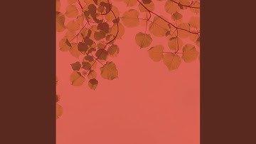 Magnificent Backdrops for Steam Baths