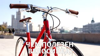 Почему велосипед — самый здоровый транспорт Москвы?
