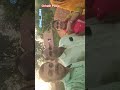 Jai uo chhath maiya #explore #anujkumar71467 #chhathpuja #explore #fyp