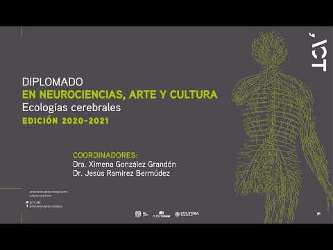 Conferencia magistral 'La autoconciencia y las artes'