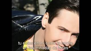 Vitas- I never loved you (subtitulado al español)