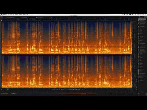 Sound for Video Session: Izotope RX6 Demonstration