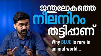 ജന്തുലോകത്തെ നീലനിറം | The curious case of blue colour in animal world