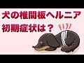 犬の椎間板ヘルニア初期症状について【獣医師解説】