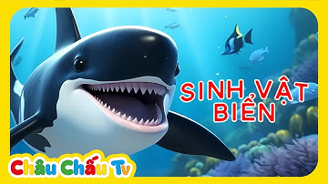 KHÁM PHÁ CÁC LOÀI ĐỘNG VẬT BIỂN CHO BÉ | SINH VẬT BIỂN CHO BÉ | SEA ANIMAL FOR KIDS | Learn for kids