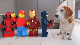 Animations in Real Life Compilation : LEGO Edition