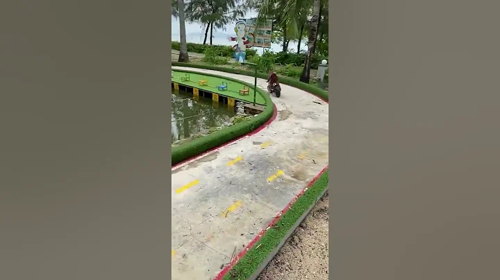 Monkey bike race                                       #Shorts #Monkey #2021