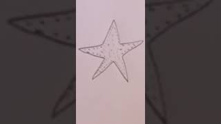 Starfish Drawing How To Draw A Starfish Drawing