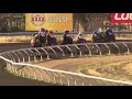 View race 2 video for 2019-02-16
