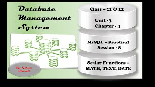 Celebrity MySQL Practical Session - 8 SQL Functions - Math, Text, Date [L-17] Wealth