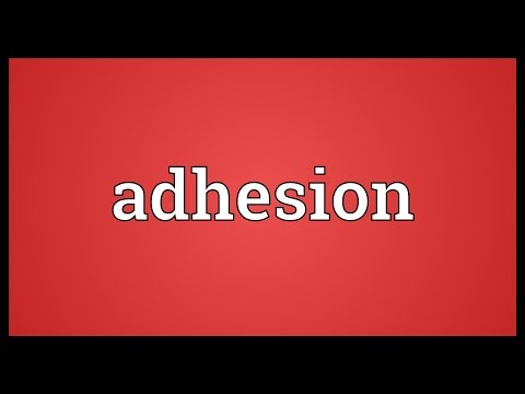 Adhesion Meaning