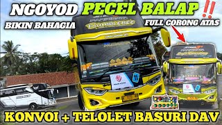 PERANG TELOLET MODUL DAV   KONVOI  BUS PECEL BALAP NADA DAV MUSICAL AIR HORN FULL CORONG ATAS!!