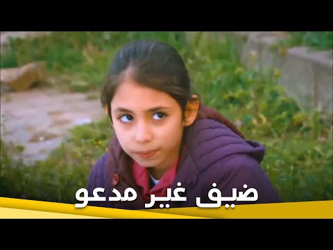 فيديو: مغرفة الملفوف - ضيف غير مدعو