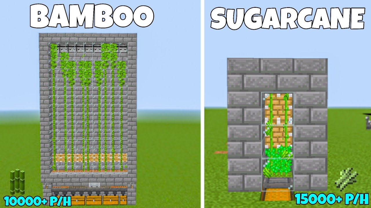 BEST Bamboo & Sugarcane Farm in Minecraft Bedrock 1.21 – Unlimited Fuel ...